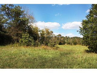 Property photo 1 - LAND AUCTION - 261+/- ACRES IN BRECKINRIDGE COUNTY